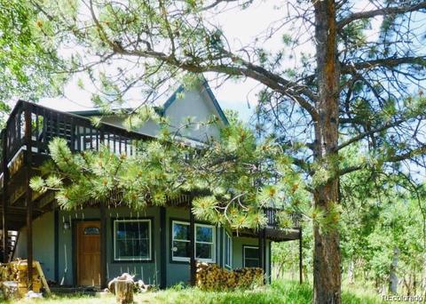 169 S Pine Dr, Bailey, CO 80421 photo 1