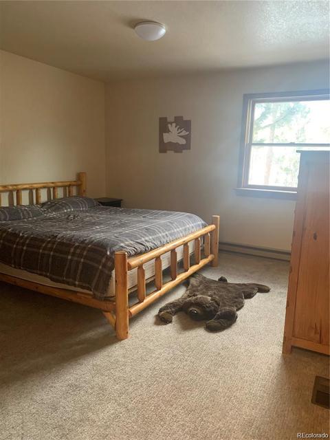 169 S Pine Dr, Bailey, CO 80421 photo 11