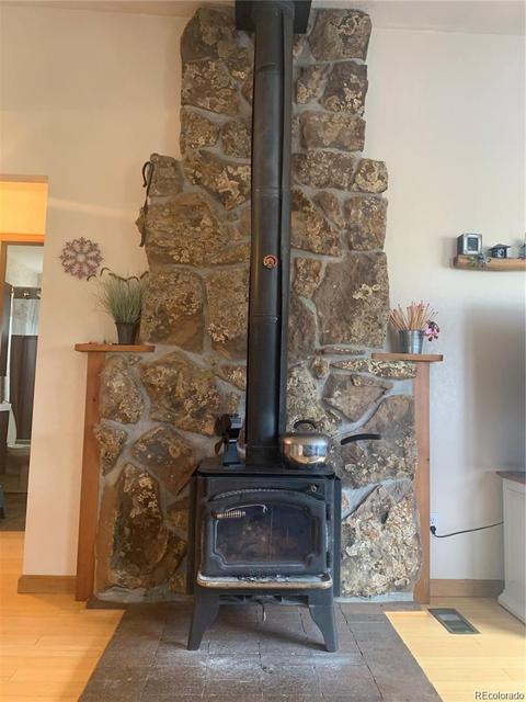 169 S Pine Dr, Bailey, CO 80421 photo 7