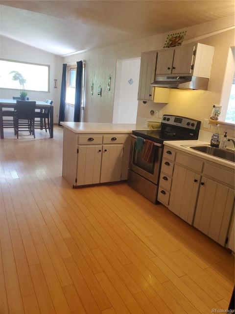 169 S Pine Dr, Bailey, CO 80421 photo 5