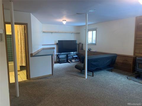 169 S Pine Dr, Bailey, CO 80421 photo 19