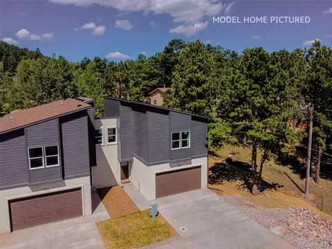 311 Spruce Mdw, Woodland Park, CO 80863