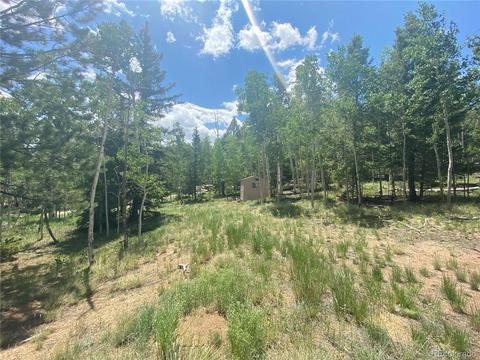 538 Campfire Rd, Hartsel, CO 80449 photo 33
