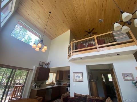 538 Campfire Rd, Hartsel, CO 80449 photo 15