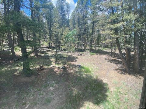 538 Campfire Rd, Hartsel, CO 80449 photo 35