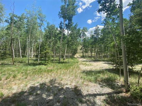 538 Campfire Rd, Hartsel, CO 80449 photo 36