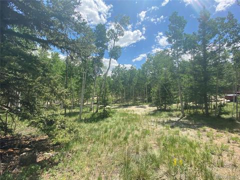 538 Campfire Rd, Hartsel, CO 80449 photo 37