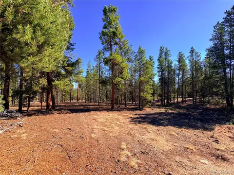 399 Lodgepole Dr, Leadville, CO 80461
