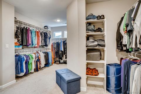 8856 Eldora St, Arvada, CO 80007 photo 31