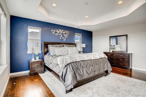 8856 Eldora St, Arvada, CO 80007 photo 21