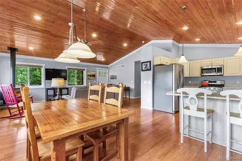 485 High Creek Rd, Fairplay, CO 80440