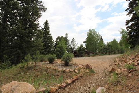 34018 Berg Ln, Pine, CO 80470 photo 14