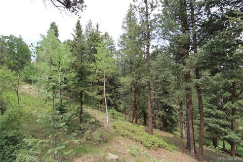 34018 Berg Ln, Pine, CO 80470 photo 15