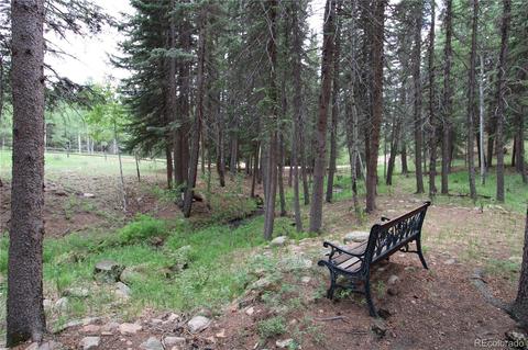 34018 Berg Ln, Pine, CO 80470 photo 30