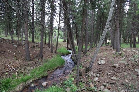 34018 Berg Ln, Pine, CO 80470 photo 31