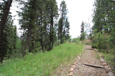 34018 Berg Ln, Pine, CO 80470 photo 29