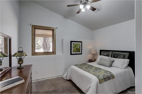 668 Holmes Gulch Way, Bailey, CO 80421 photo 36