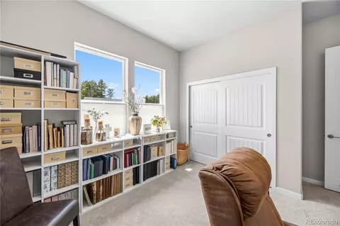 Other - 16297 Forest Cloud Way, Monument, CO 80132 photo 6 of 17