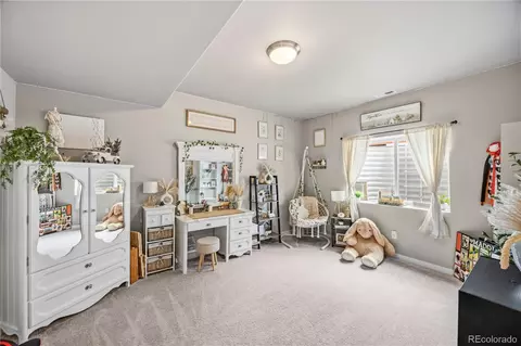 Other - 16297 Forest Cloud Way, Monument, CO 80132 photo 14 of 17