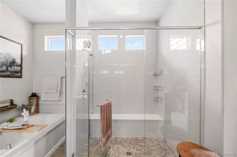 Bath - 16297 Forest Cloud Way, Monument, CO 80132 photo 3 of 6