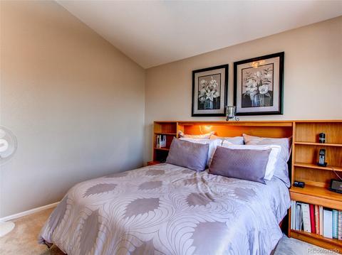 9496 Brook Ln, Lone Tree, CO 80124 photo 23