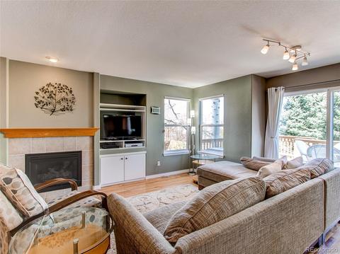 9496 Brook Ln, Lone Tree, CO 80124 photo 7