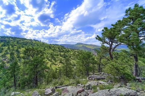 124 Quartz Way, Lyons, CO 80540 photo 24