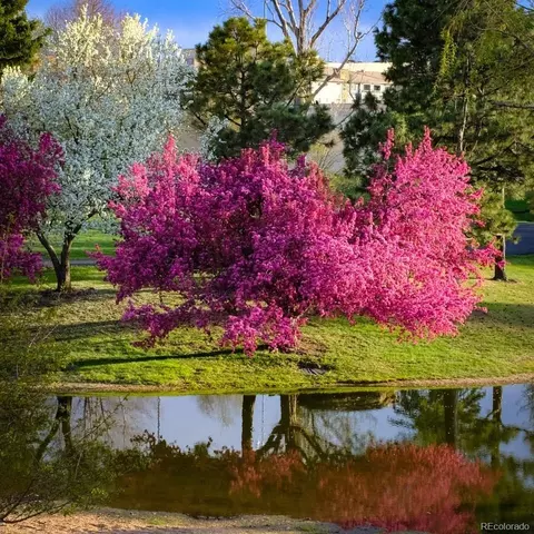 7000 E Quincy Ave #217, Denver, CO 80237