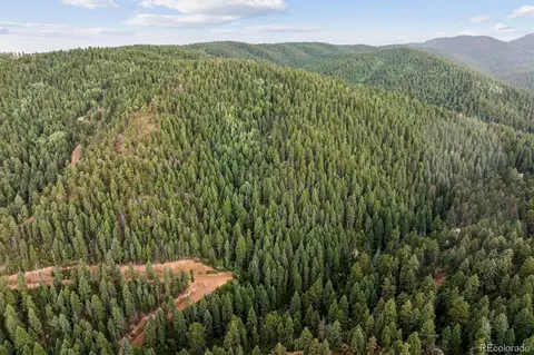 Forest Lane, Larkspur, CO 80118