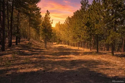 Wood Sorrel Rd, Larkspur, CO 80118