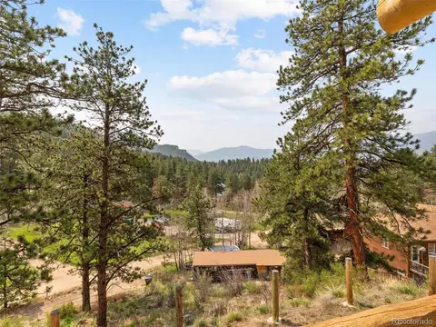 603 Old State Rd, Bailey, CO 80421 photo 6