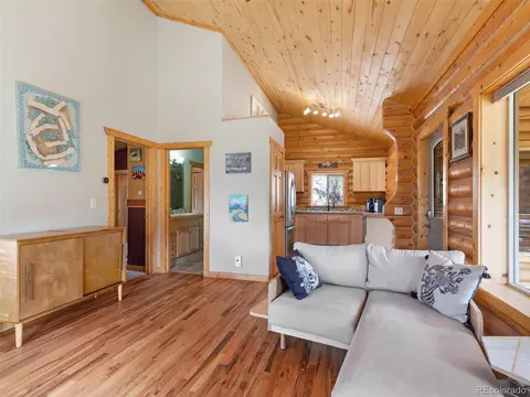 603 Old State Rd, Bailey, CO 80421 photo 11