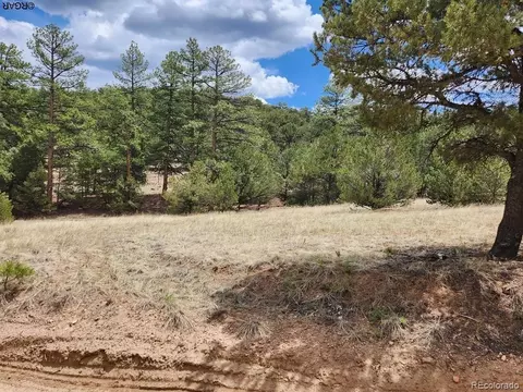 Tr-44 I Path, Cotopaxi, CO 81223 photo 2