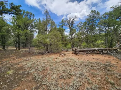 Tr-44 I Path, Cotopaxi, CO 81223