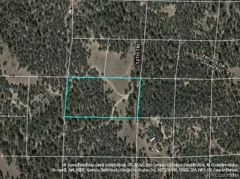 Tr-44 I Path, Cotopaxi, CO 81223 photo 13