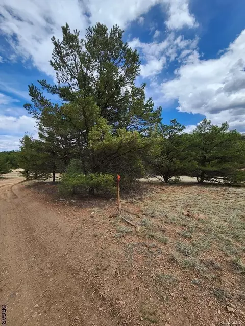 Tr-44 I Path, Cotopaxi, CO 81223 photo 7
