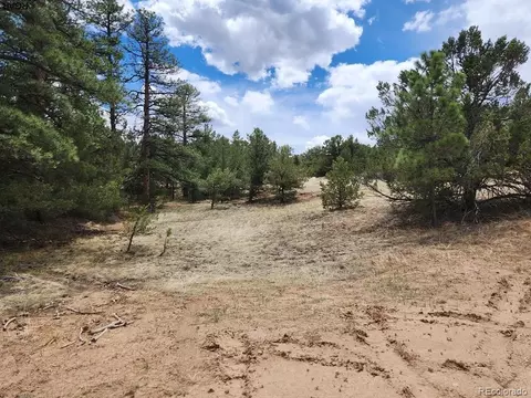 Tr-44 I Path, Cotopaxi, CO 81223 photo 3