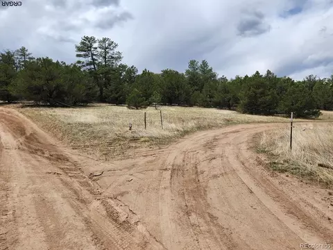 Tr-44 I Path, Cotopaxi, CO 81223 photo 8