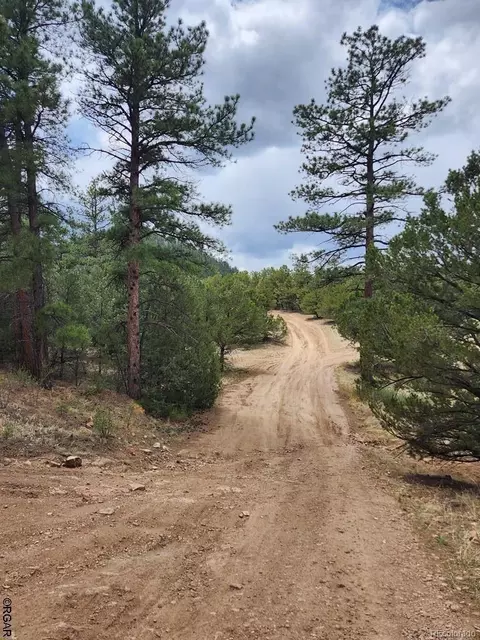 Tr-44 I Path, Cotopaxi, CO 81223 photo 9