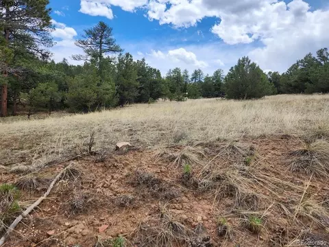 Tr-44 I Path, Cotopaxi, CO 81223 photo 10