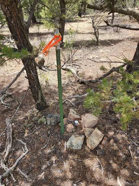 Tr-44 I Path, Cotopaxi, CO 81223 photo 6