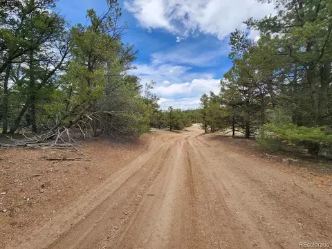Tr-44 I Path, Cotopaxi, CO 81223 photo 12