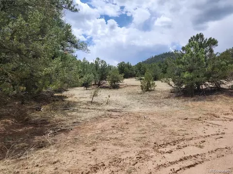 Tr-44 I Path, Cotopaxi, CO 81223 photo 5