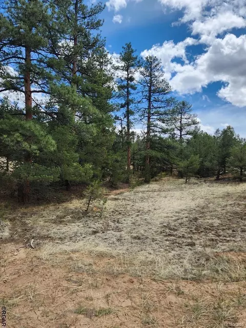 Tr-44 I Path, Cotopaxi, CO 81223 photo 4