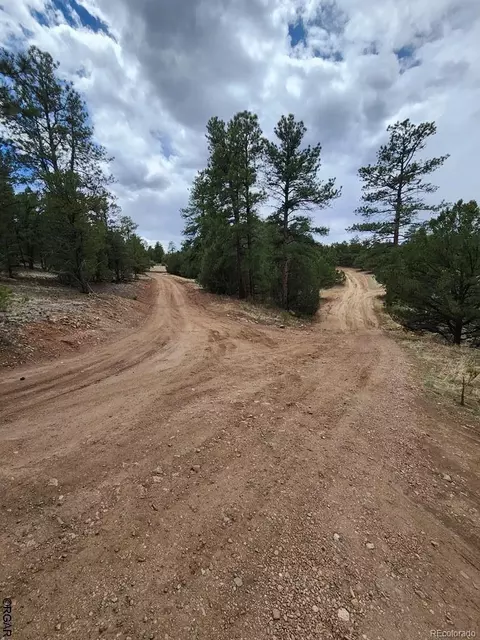 Tr-44 I Path, Cotopaxi, CO 81223 photo 11
