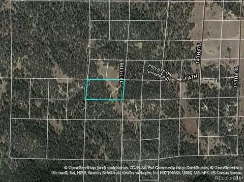 Tr-44 I Path, Cotopaxi, CO 81223 photo 14