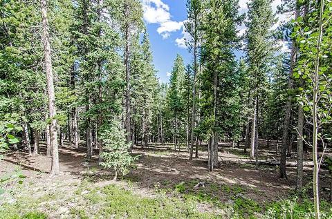 32035 Edward Dr, Conifer, CO 80433 photo 23