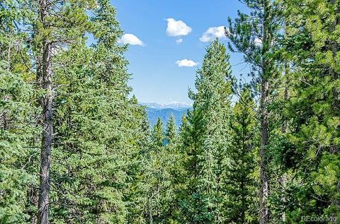 32035 Edward Dr, Conifer, CO 80433 photo 21
