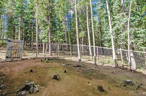 32035 Edward Dr, Conifer, CO 80433 photo 24