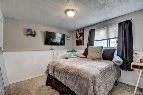 3443 E 119th Pl, Thornton, CO 80233 photo 19